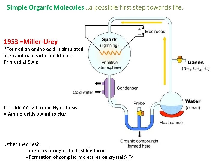 Simple Organic Molecules…a possible first step towards life. 1953 –Miller-Urey *Formed an amino acid