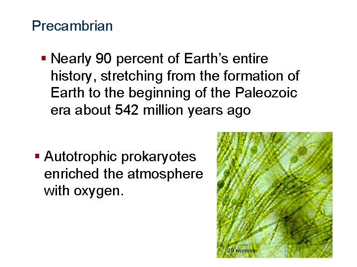 The History of Life Precambrian § Nearly 90 percent of Earth’s entire history, stretching