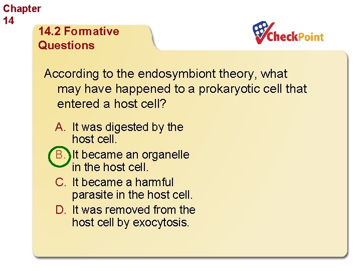 Chapter 14 The History of Life 14. 2 Formative Questions According to the endosymbiont