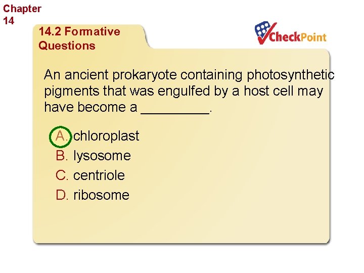Chapter 14 The History of Life 14. 2 Formative Questions An ancient prokaryote containing