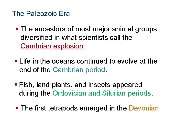 The History of Life The Paleozoic Era § The ancestors of most major animal