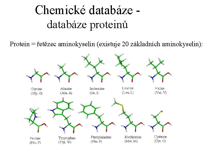 Chemické databáze proteinů Protein = řetězec aminokyselin (existuje 20 základních aminokyselin): 