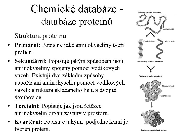 Chemické databáze proteinů Struktura proteinu: • Primární: Popisuje jaké aminokyseliny tvoří protein. • Sekundární: