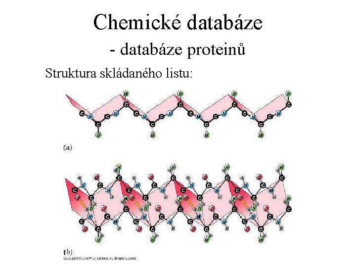 Chemické databáze - databáze proteinů Struktura skládaného listu: 