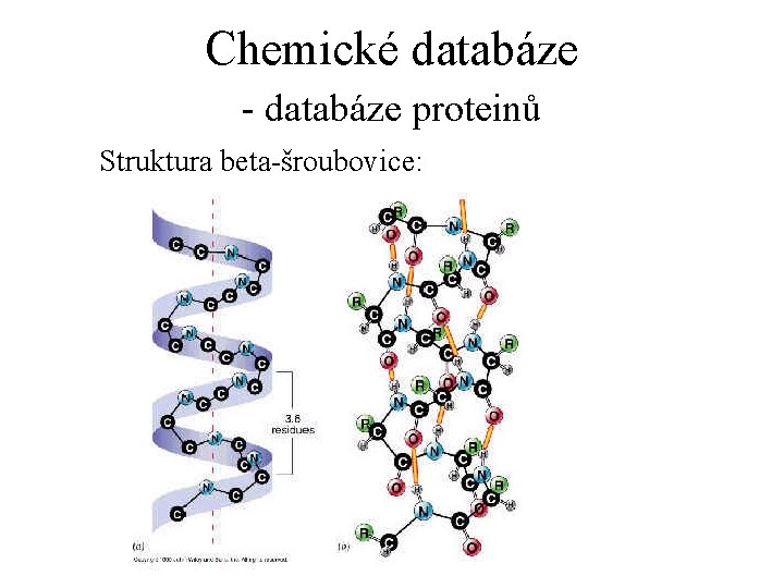 Chemické databáze - databáze proteinů Struktura beta-šroubovice: 