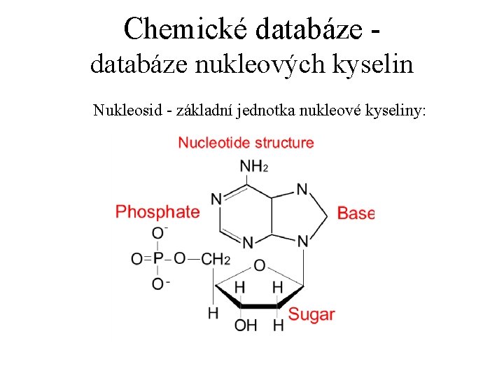 Chemické databáze nukleových kyselin Nukleosid - základní jednotka nukleové kyseliny: 