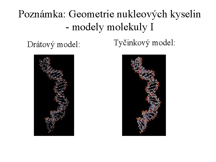 Poznámka: Geometrie nukleových kyselin - modely molekuly I Drátový model: Tyčinkový model: 