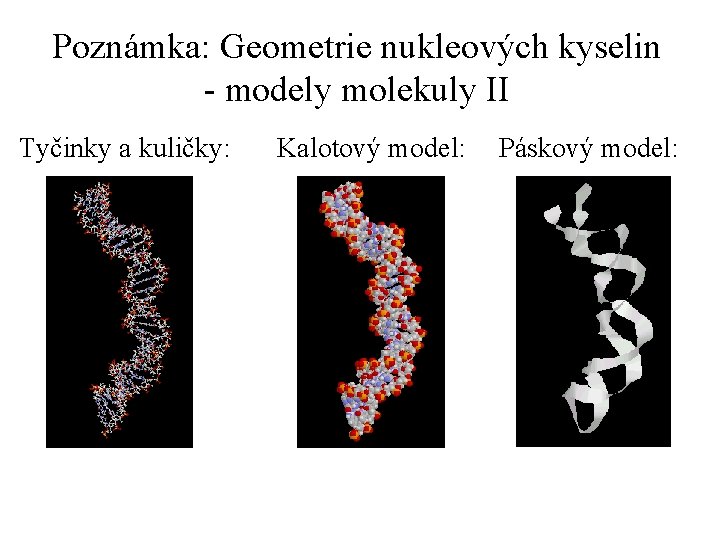 Poznámka: Geometrie nukleových kyselin - modely molekuly II Tyčinky a kuličky: Kalotový model: Páskový