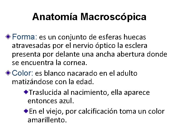 Anatomía Macroscópica Forma: es un conjunto de esferas huecas atravesadas por el nervio óptico