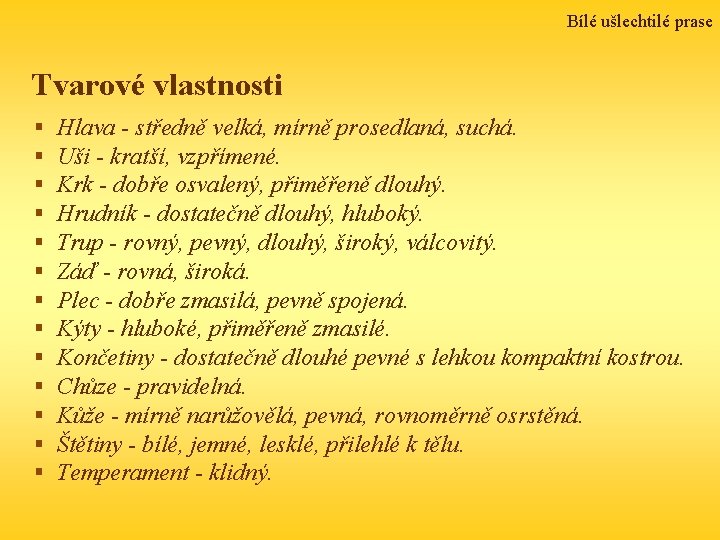 Bílé ušlechtilé prase Tvarové vlastnosti § § § § Hlava - středně velká, mírně