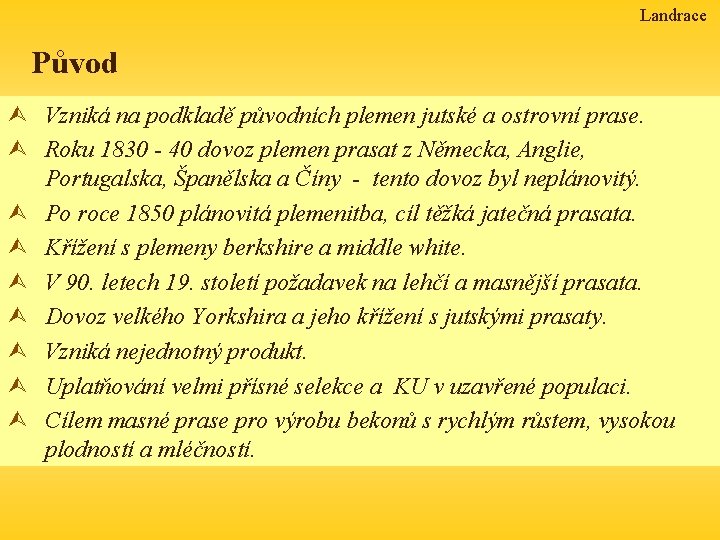 Landrace Původ Ù Vzniká na podkladě původních plemen jutské a ostrovní prase. Ù Roku