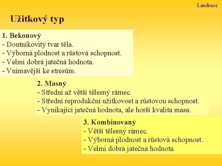 Landrace Užitkový typ 1. Bekonový - Doutníkovitý tvar těla. - Výborná plodnost a růstová