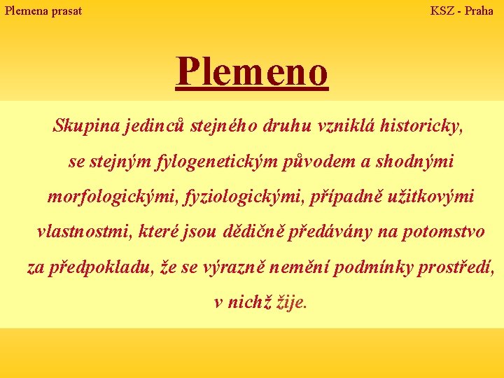 Plemena prasat KSZ - Praha Plemeno Skupina jedinců stejného druhu vzniklá historicky, se stejným