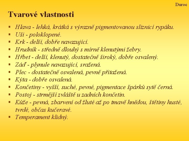 Duroc Tvarové vlastnosti Hlava - lehká, krátká s výrazně pigmentovanou sliznicí rypáku. Uši -