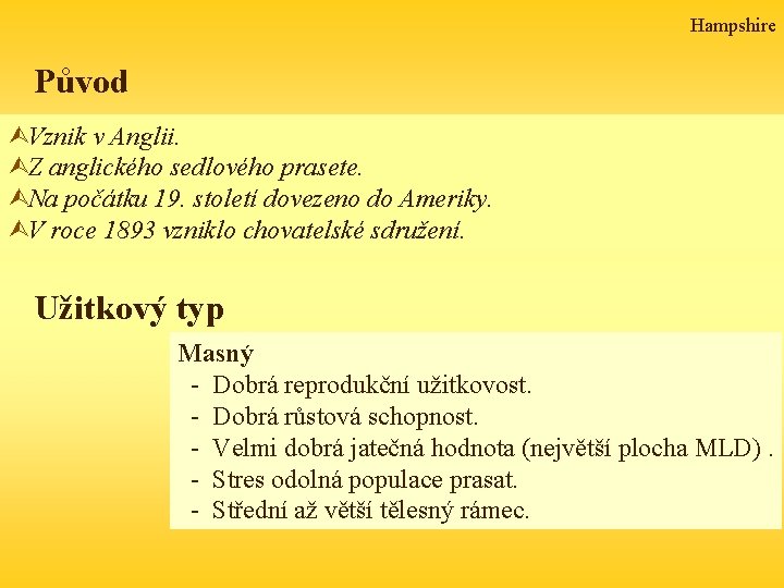 Hampshire Původ Ù Vznik v Anglii. ÙZ anglického sedlového prasete. ÙNa počátku 19. století