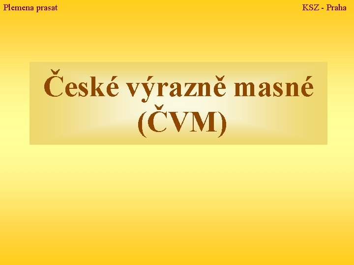 Plemena prasat KSZ - Praha České výrazně masné (ČVM) 