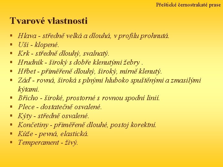 Přeštické černostrakaté prase Tvarové vlastnosti § § § Hlava - středně velká a dlouhá,