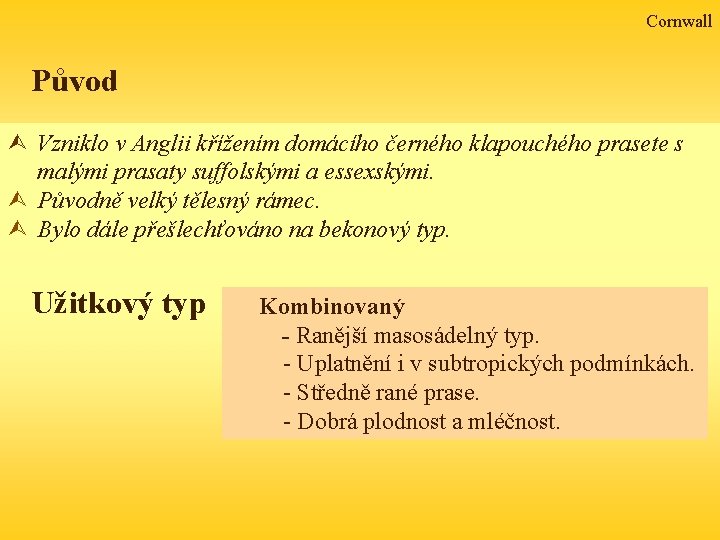 Cornwall Původ Ù Vzniklo v Anglii křížením domácího černého klapouchého prasete s malými prasaty