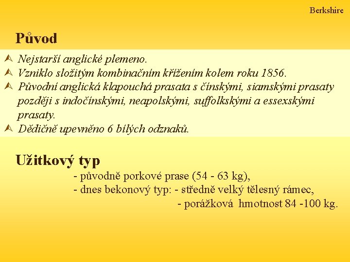 Berkshire Původ Ù Nejstarší anglické plemeno. Ù Vzniklo složitým kombinačním křížením kolem roku 1856.