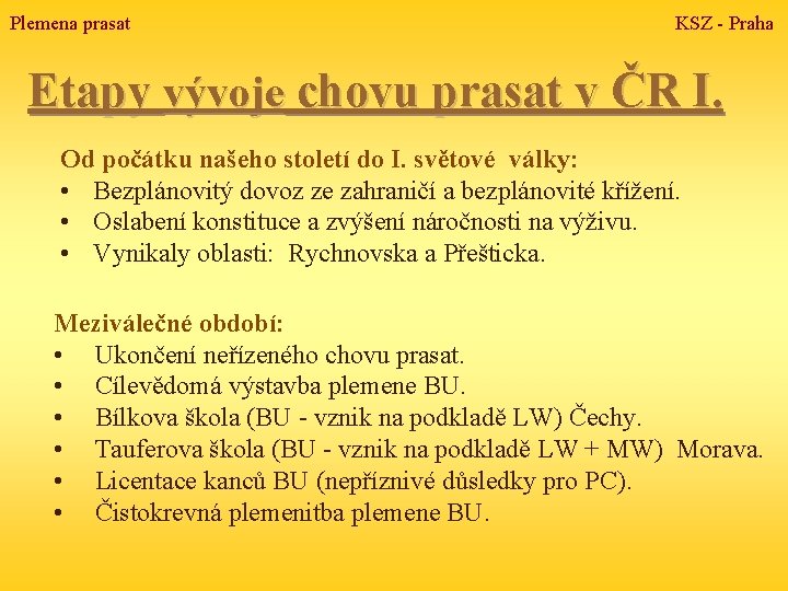 Plemena prasat KSZ - Praha Etapy vývoje chovu prasat v ČR I. Od počátku