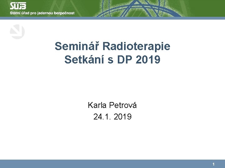 Seminář Radioterapie Setkání s DP 2019 Karla Petrová 24. 1. 2019 1 