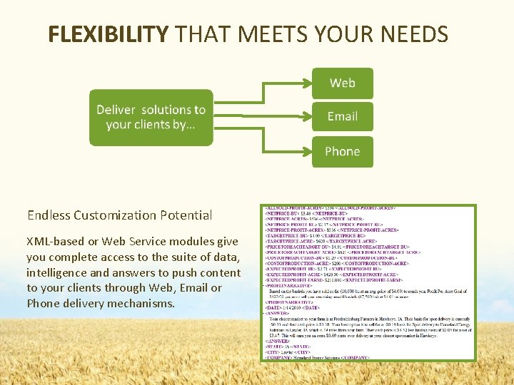 FLEXIBILITY THAT MEETS YOUR NEEDS Endless Customization Potential XML-based or Web Service modules give