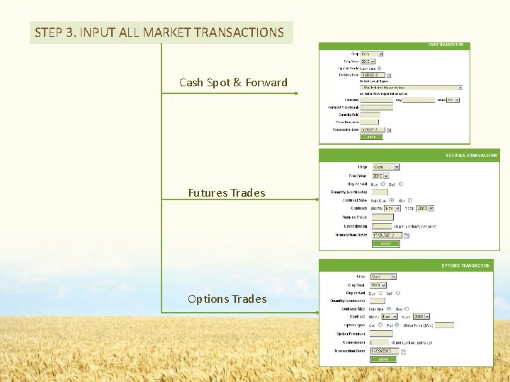 STEP 3. INPUT ALL MARKET TRANSACTIONS Cash Spot & Forward Futures Trades Options Trades