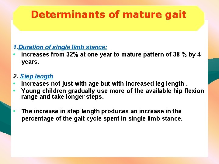 Determinants of mature gait 1. Duration of single limb stance: • increases from 32%