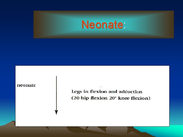 Neonate: 