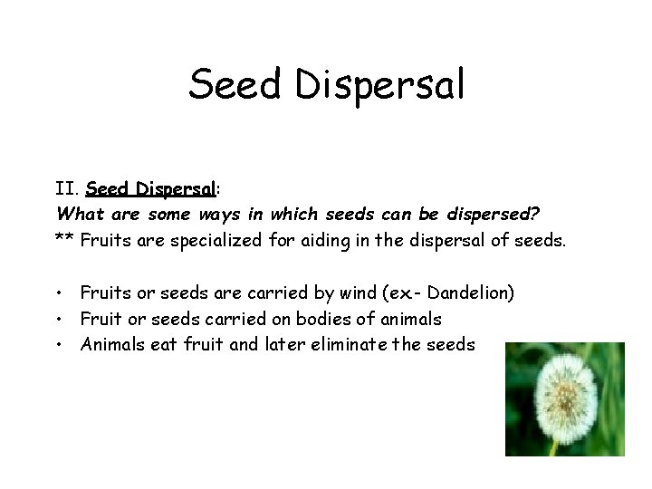 Seed Dispersal II. Seed Dispersal: What are some ways in which seeds can be