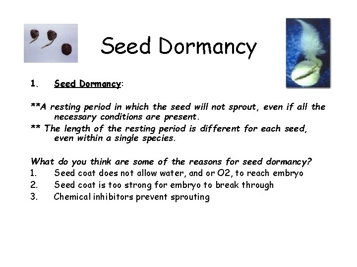 Seed Dormancy 1. Seed Dormancy: **A resting period in which the seed will not