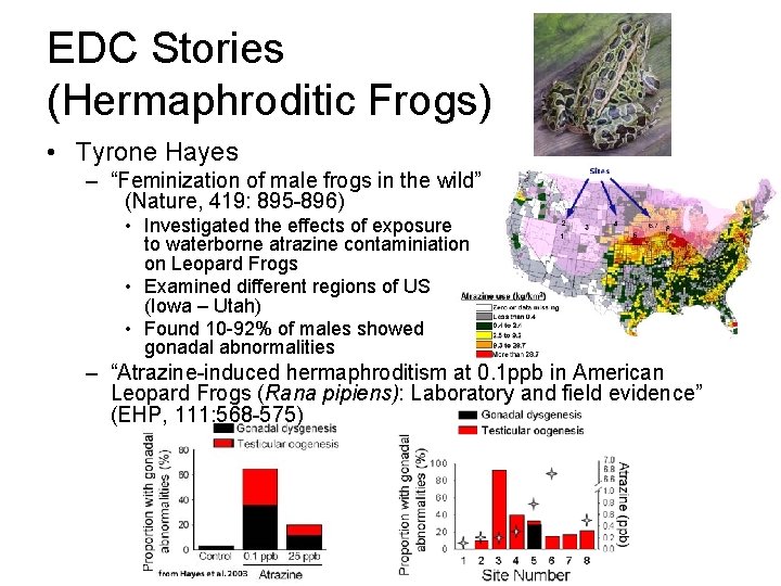 EDC Stories (Hermaphroditic Frogs) • Tyrone Hayes – “Feminization of male frogs in the