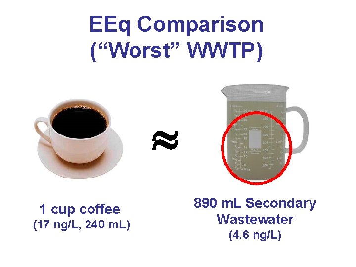 EEq Comparison (“Worst” WWTP) 1 cup coffee (17 ng/L, 240 m. L) 890 m.