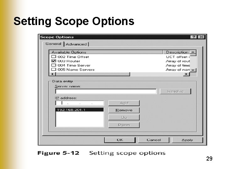 Setting Scope Options 29 