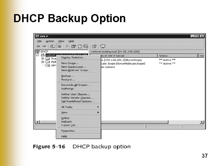DHCP Backup Option 37 