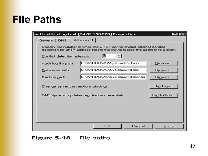 File Paths 43 