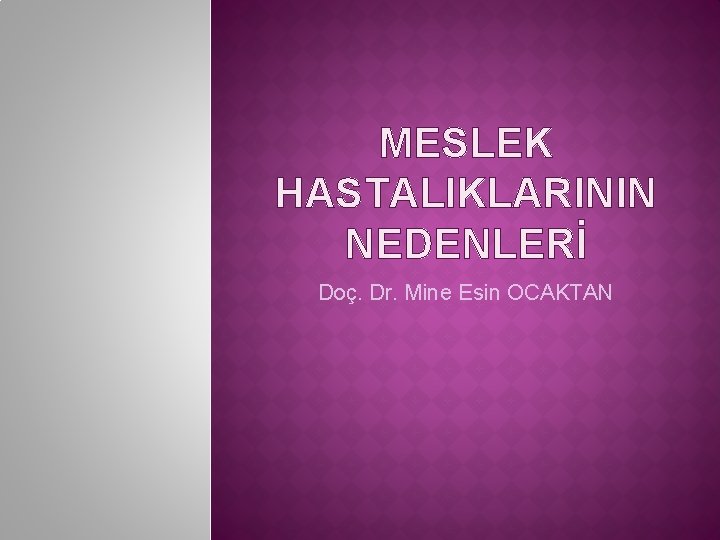 MESLEK HASTALIKLARININ NEDENLERİ Doç. Dr. Mine Esin OCAKTAN 