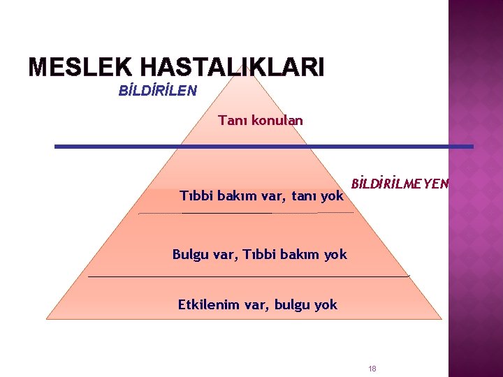 MESLEK HASTALIKLARI BİLDİRİLEN Tanı konulan Tıbbi bakım var, tanı yok BİLDİRİLMEYEN Bulgu var, Tıbbi