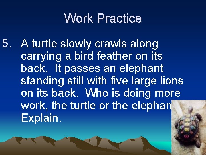 Work Practice 5. A turtle slowly crawls along carrying a bird feather on its