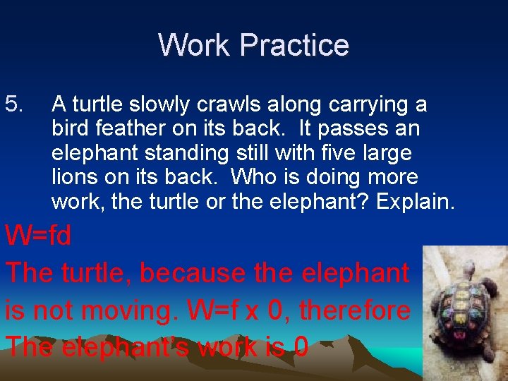 Work Practice 5. A turtle slowly crawls along carrying a bird feather on its