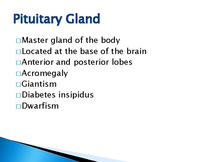 Pituitary Gland � Master gland of the body � Located at the base of