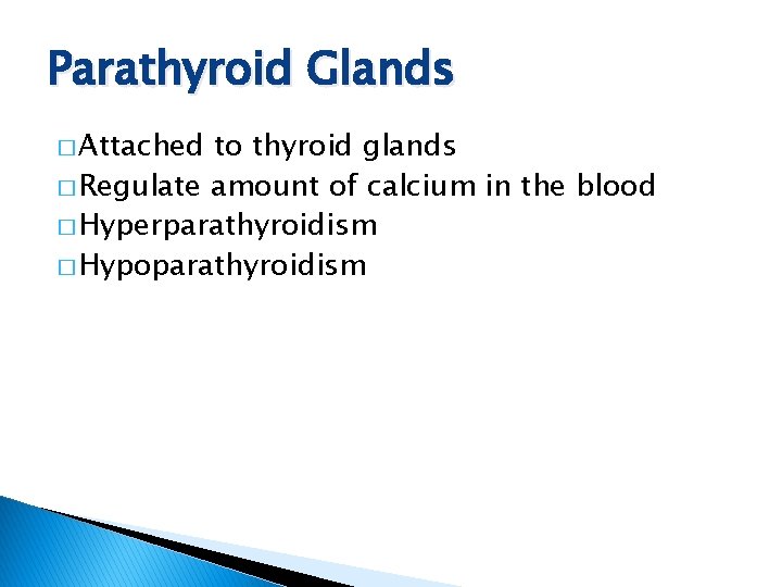 Parathyroid Glands � Attached to thyroid glands � Regulate amount of calcium in the