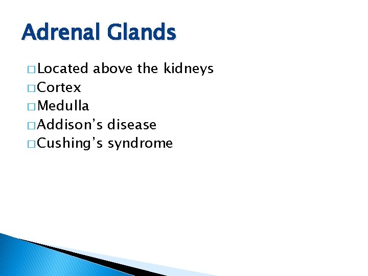 Adrenal Glands � Located � Cortex � Medulla above the kidneys � Addison’s disease