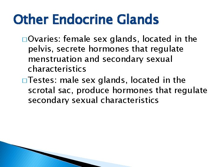 Other Endocrine Glands � Ovaries: female sex glands, located in the pelvis, secrete hormones