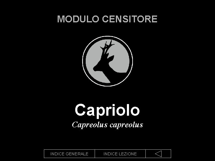 MODULO CENSITORE Capriolo Capreolus capreolus INDICE GENERALE INDICE LEZIONE 