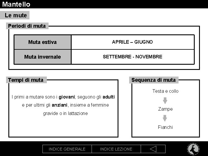 Mantello Le mute Periodi di muta Muta estiva APRILE – GIUGNO Muta invernale SETTEMBRE