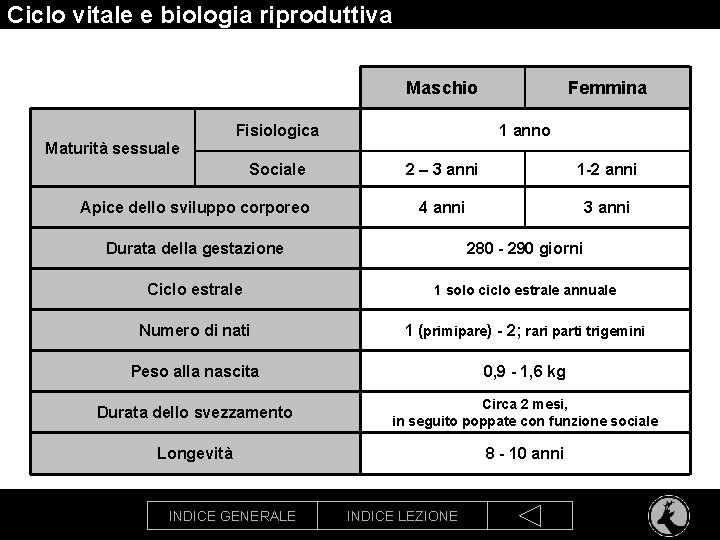 Ciclo vitale e biologia riproduttiva Maschio Fisiologica Femmina 1 anno Maturità sessuale Sociale Apice