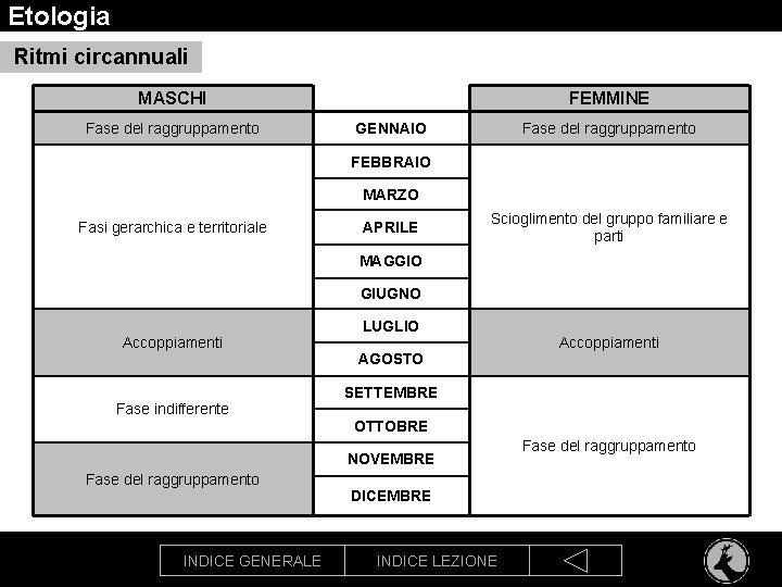 Etologia Ritmi circannuali MASCHI Fase del raggruppamento FEMMINE GENNAIO Fase del raggruppamento FEBBRAIO MARZO