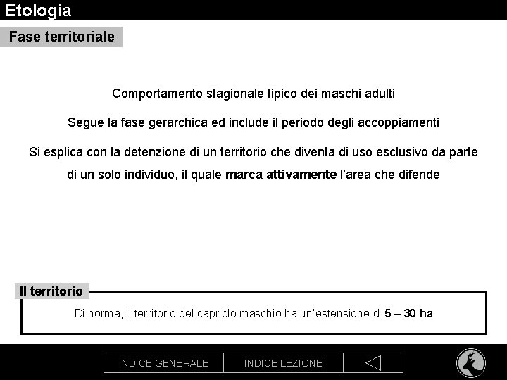 Etologia Fase territoriale Comportamento stagionale tipico dei maschi adulti Segue la fase gerarchica ed
