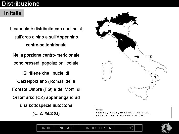 Distribuzione In Italia Il capriolo è distribuito continuità sull’arco alpino e sull’Appennino centro-settentrionale Nella